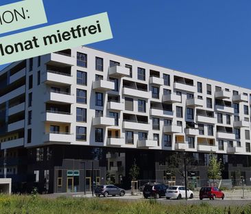 REININGHAUS AKTION 1. MONAT MIETFREI: 2-ZIMMERWOHNUNG MIT TOP AUSST... - Photo 3