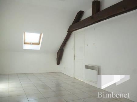Appartement à louer, 2 pièces - Orléans 45000 - Photo 5