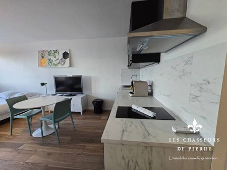 Studio 1 pièce Dardilly - Photo 5