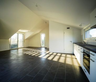 Magnifique appartement de 3,5 pièces duplex - Photo 6