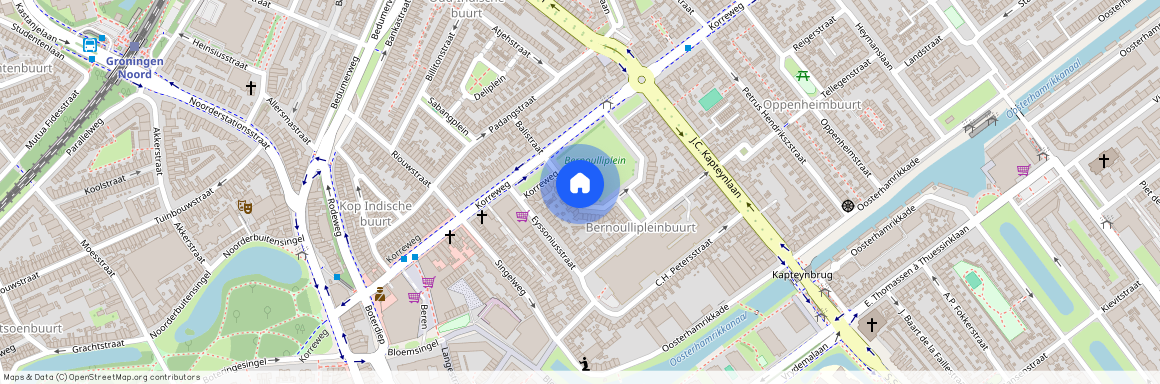Professorenbuurt, 9714 BV, Bernoulliplein, Groningen