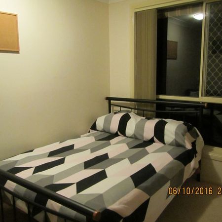 3-bedroom shared house, Annandale Court - Photo 4