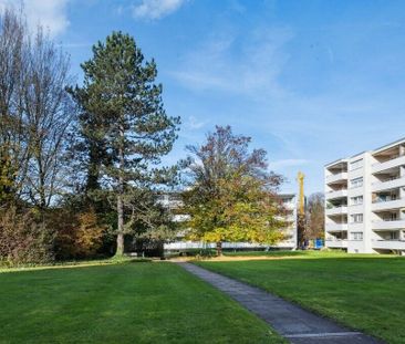 A beautiful 3.5-room apartment becomes available - Foto 3