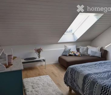 40 m² - Photo 3