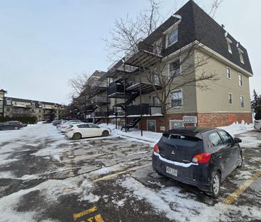 Appartement Sainte-Thérèse À Louer - Photo 2