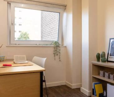 Bronze Room - Photo 6