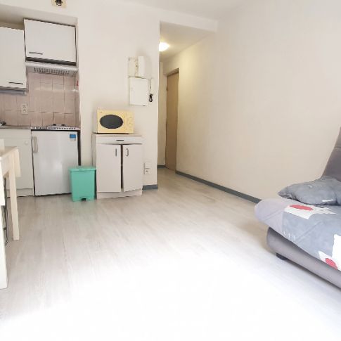 Location Appartement 1 pièce 20m² - Photo 1