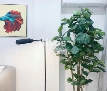 Apartamento en alquiler en los Cristianos - Photo 2