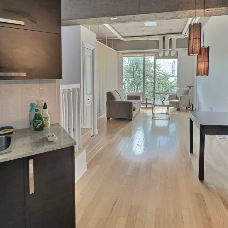 Appartement à louer - Montréal (Ville-Marie) (Centre Ouest) - Photo 1