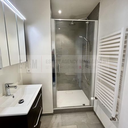 Eaux-Vives: a few steps from the Jet d’eau - Foto 4