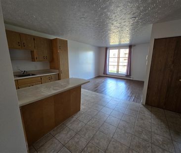 2020-204 (vacant) rue Gauthier Grand 3½ Sherbrooke J1H 6A5 - Photo 4