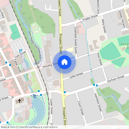 213 Prospect Street, Newmarket