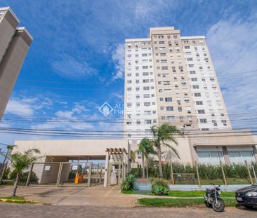 Apartamento com 3 quartos e 66m² para alugar em Humaitá, Porto Alegre. - Photo 2