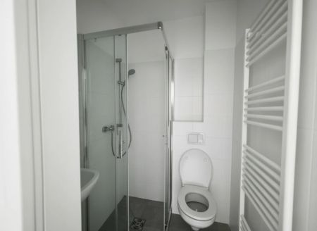 **Renovierte Wohnungen in der Mariatroster Straße** - ab 15. Dezember verfügbar! - Photo 4