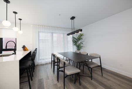60 Rue Toe-Blake, apt. 303 - Photo 3
