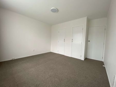 Newly Renovated unit on Rawhiti Road - Photo 3