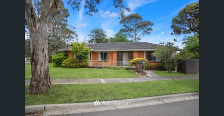 This is it! - Photo 2