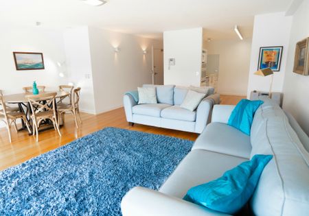 Spacious 2 bedroom apartment with views over Wellington's Waitangi Park and Oriental Parade - Photo 4