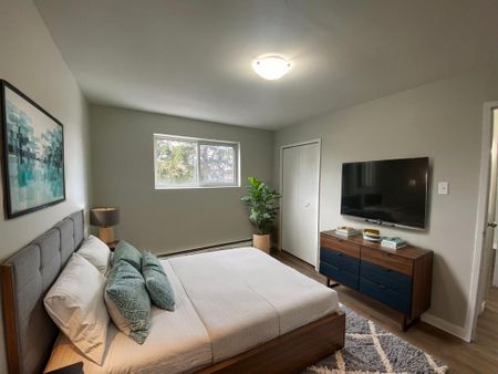 Two Bedroom Apartment - Photo 4