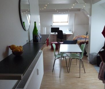 — Grauwpoort - Photo 3