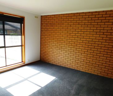 Unit 3/31 Cummings Street - Photo 1