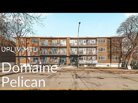 Renovated Apartments for Rent in Vieux-Rosemont – Steps from Masson Street - Photo 5