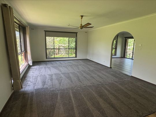 Toongabbie Delight - Photo 1