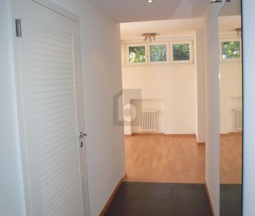RUHIG AM ZÜRICHBERG: 20 M² SONNENTERRASSE - Photo 5