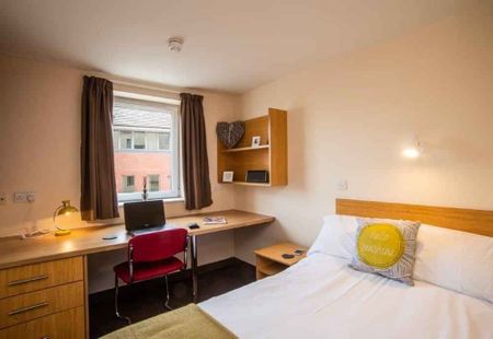 Deluxe Room - Photo 5