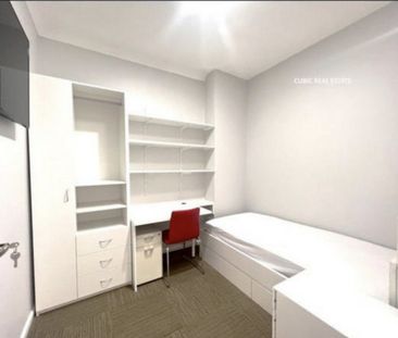 78 Queen Street, Concord West NSW 2138 - House For Rent | Domain - Photo 3