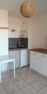 Location Appartement 1 pièce 22m² - Photo 3