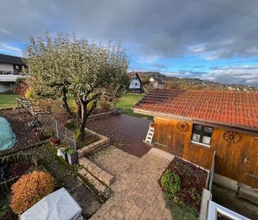 Spacious 6.5pces terrace and garden - Photo 5