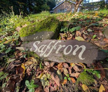 3 bedroom detached bungalow to rent - Photo 1