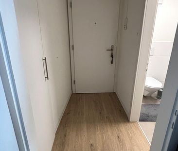 HIRSCHY - Mittendrin statt nur dabei! - Photo 3