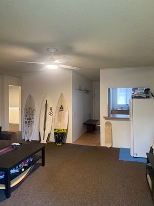 Surfers Paradise - Photo 1