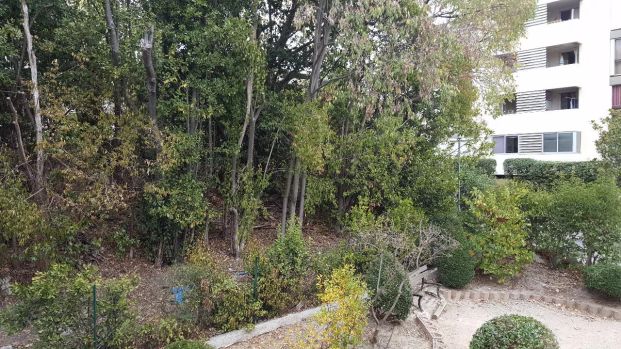 Appartement Marseille 1 pièce(s) 20 m2 - Photo 1