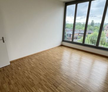 Wohnsiedlung "Obere Widen" im Grünen am Birsufer gelegen - Foto 5
