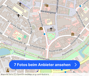 Helle Dachgeschosswohnung mit 2,5 Zimmern in der Aaseestadt Münster - Foto 1