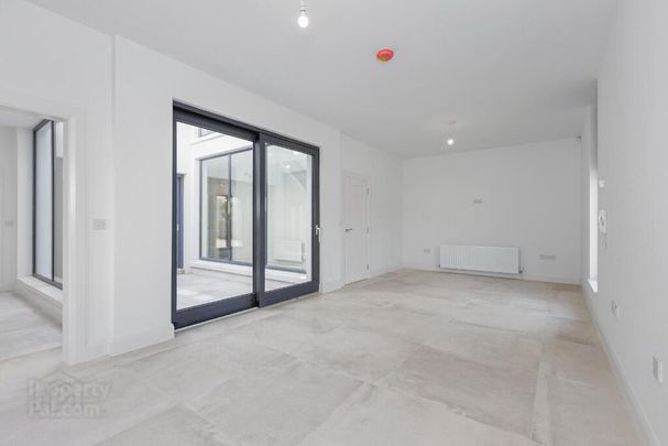 Apartment 2 35 College Avenue, Bangor, BT20 5HJ - Photo 1