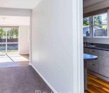 55 Black Beech Street, Birchville - Photo 3