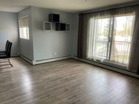 2 Bedroom 2 Bathroom Condo in Carrington West - SF142 - Photo 3