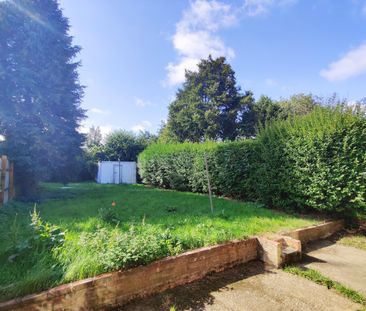 Clarkson Road, Norwich - Photo 4