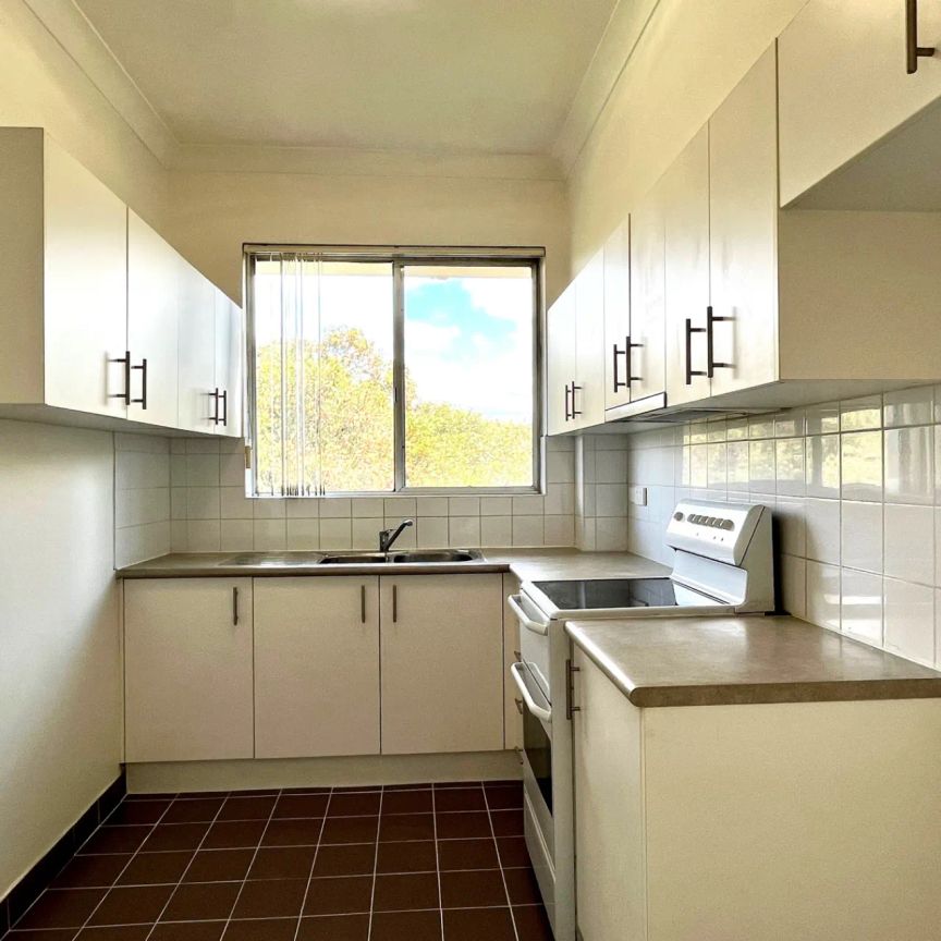 Unit 8/4 Hayburn Avenue, - Photo 1