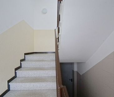 Studenten Apartment nähe Aasee-Münster! - Foto 1