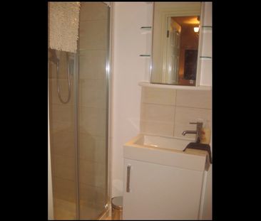 Studio Flat, Twyford Abbey Road, NW10 - Photo 6