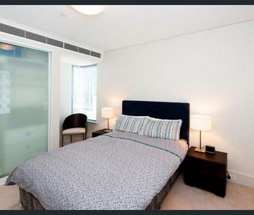 HEMISPHERE DELIGHT - Photo 6