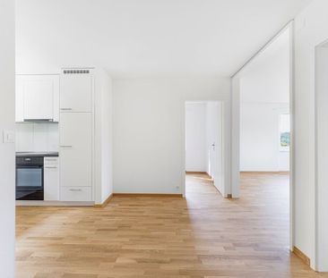 Attractive 3.5-room apartments for rent ideal for couples, singles - Photo 2