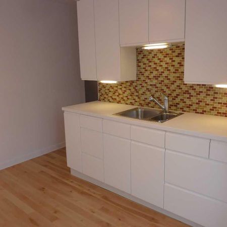 4 1/2 tranquille dans Ahuntsic - Photo 4