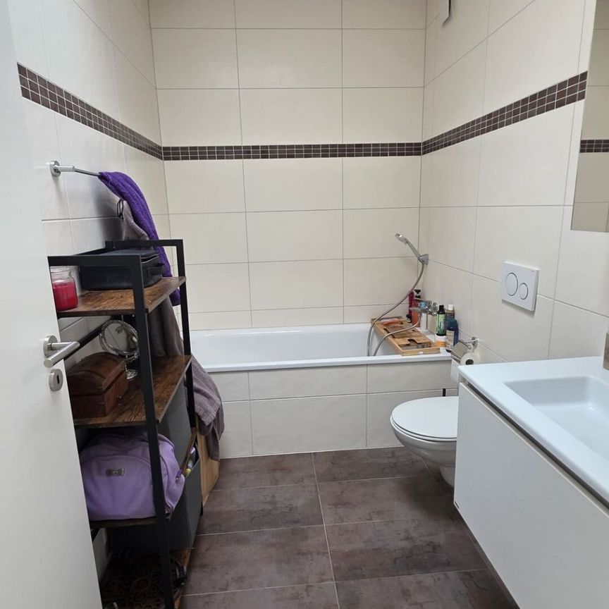 AT THE HEART OF NATURE - Photo 1