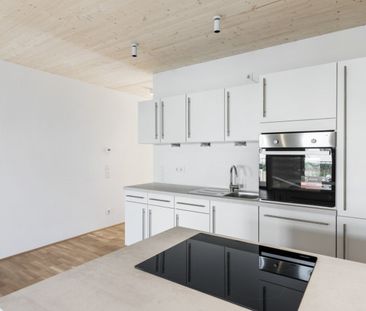 Holz-Hybridbau | Garten | Balkon - Photo 4